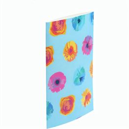 Individueller Pappschuber CreaSleeve 486