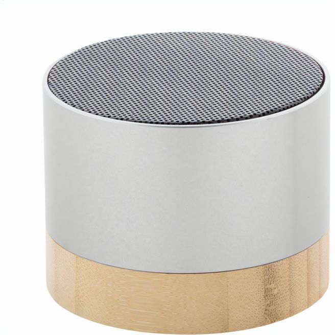 kabelloser Lautsprecher RalooBeat