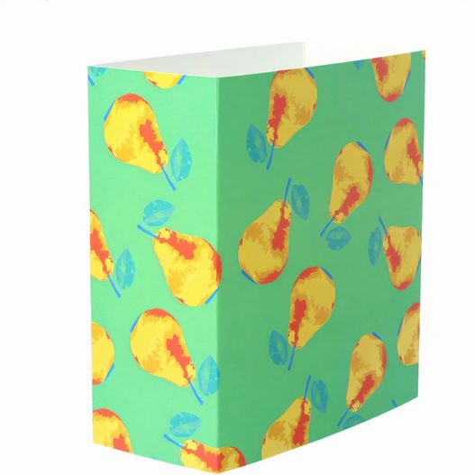 Individueller Pappschuber CreaSleeve 214 (Bild 1)