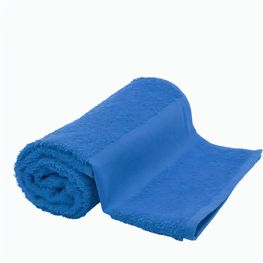 Gästehandtuch Terry M