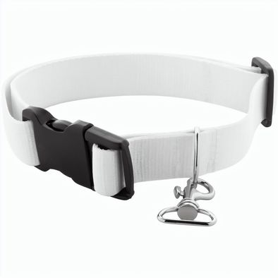 Individuelles Hundehalsband Ziggy