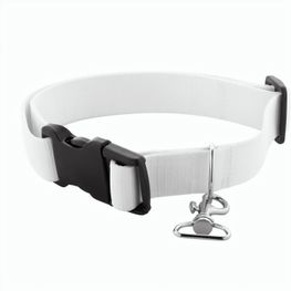 Individuelles Hundehalsband Ziggy