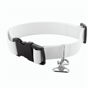 Individuelles Hundehalsband Ziggy