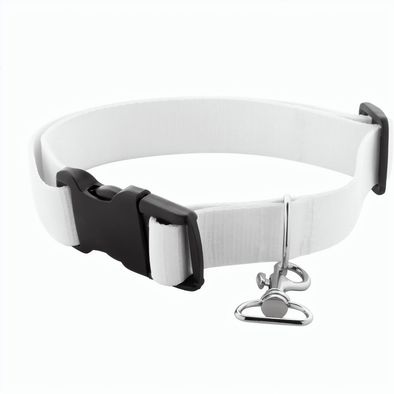 Individuelles Hundehalsband Ziggy