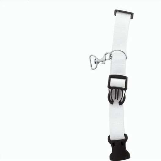 Individuelles Hundehalsband Ziggy (Bild 1)