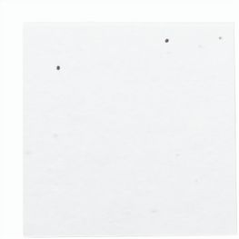 Individueller Haftnotizblock CreaStick Seed Note M
