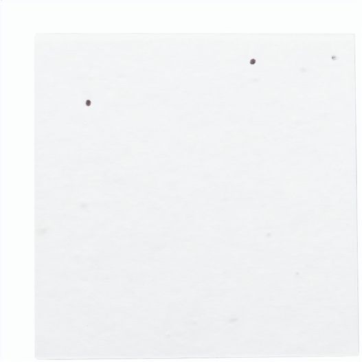 Produktabbildung Individueller Haftnotizblock CreaStick Seed Note M Individueller Haftnotizblock CreaStick Seed Note M (Bild 1)