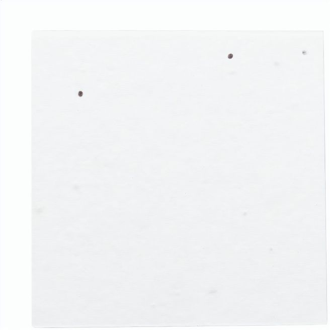 Produktabbildung Individueller Haftnotizblock CreaStick Seed Note M Individueller Haftnotizblock CreaStick Seed Note M