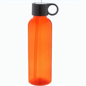 RPET Trinkflasche Fitba