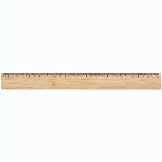 Produktabbildung Lineal Rubus 30 Lineal Rubus 30 (Bild 1)