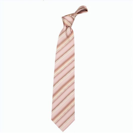 Produktabbildung Krawatte Tienamic Krawatte Tienamic (Bild 1)