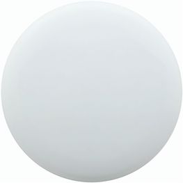 Frisbeescheibe Reppy