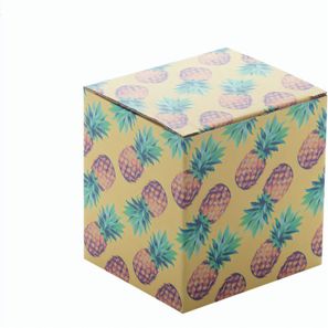 Individuelle Box CreaBox EF-058