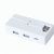 RABS USB-Hub Bilkon (Bild 1)