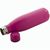 Flasche aus recyceltem Edelstahl Refill (Bild 2)