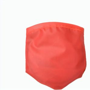 Frisbee Pocket