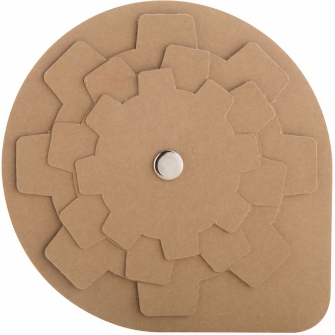 Puzzle Spinalis Eco