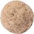 Samenkugel Flobba (Bild 3)