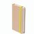Notizbuch Prunus A6
