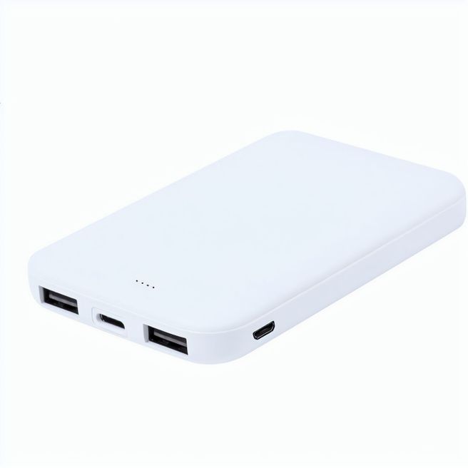 RABS Powerbank Genner