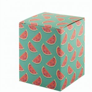 Individuelle Box CreaBox EF-267