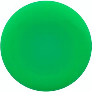 Frisbeescheibe Reppy