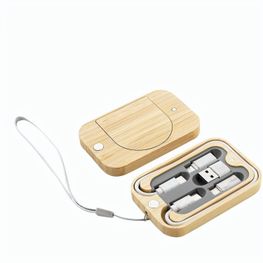 Ladegerät-Set Cabsly Plus