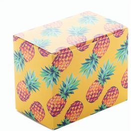 Individuelle Box CreaBox PB-388