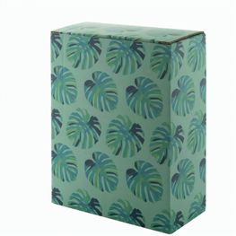 Individuelle Box CreaBox EF-273