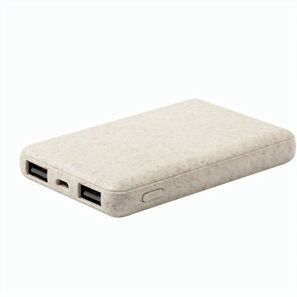Powerbank Durum