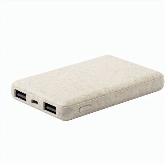 Produktabbildung Powerbank Durum Powerbank Durum (Bild 1)
