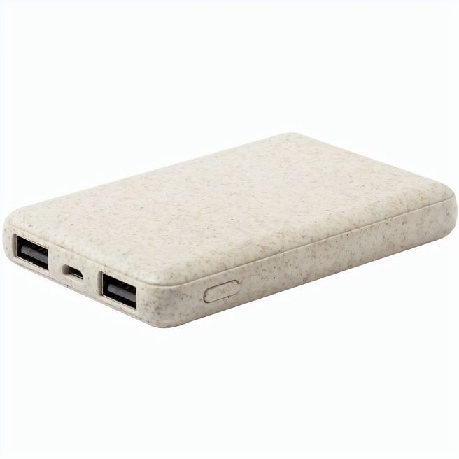 Powerbank Durum
