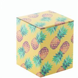 Individuelle Box CreaBox EF-216