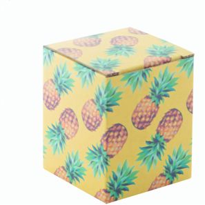 Individuelle Box CreaBox EF-216