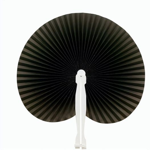 Fächer Vasto (Bild 1)