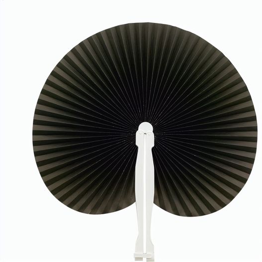 Produktabbildung Fächer Vasto Fächer Vasto (Bild 1)