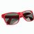 Sonnenbrille. Padang (Bild 1)