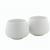 Tee-Set Sencha (Bild 4)