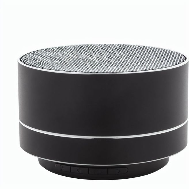 Funklautsprecher Ramesh