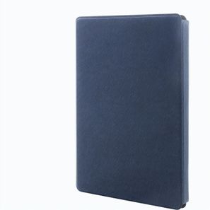 Dokumentenmappe aus RPU Mappu A5