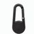 Karabiner Edmund (Bild 2)