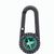 Karabiner Edmund (Bild 3)