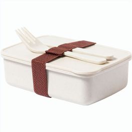 Lunchbox Adobo