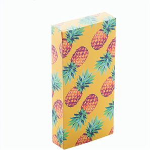 Individuelle Box CreaBox PB-113