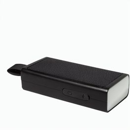 RABS-Lautsprecher MagBeat