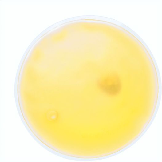 Produktabbildung Wärmekissen Relief Wärmekissen Relief (Bild 1)