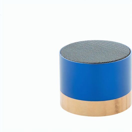 kabelloser Lautsprecher RalooBeat (Bild 1)