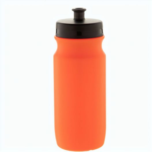 Produktabbildung Trinkflasche Palmares Trinkflasche Palmares (Bild 1)