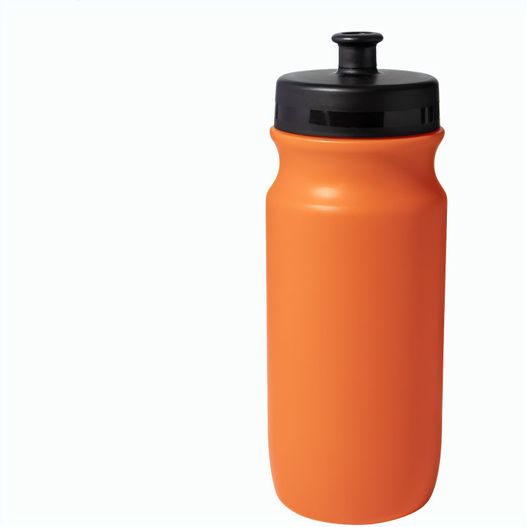 Trinkflasche Palmares (Bild 1)