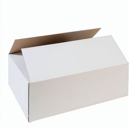 Versandkarton CreaBox Cargo S